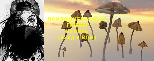 марки nbome Алзамай