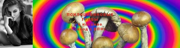 трава Алексеевка