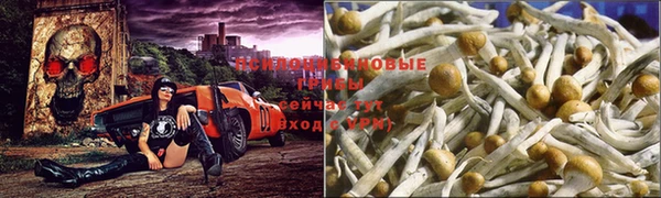 марки nbome Алзамай